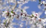 ribaltone meteo a pasqua e pasquetta arriva la primavera 2