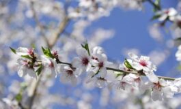 Settimana di primavera meteo variabile e temperature un po in calo le previsioni 265x160