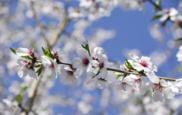 settimana di primavera meteo variabile e temperature un po in calo le previsioni 2