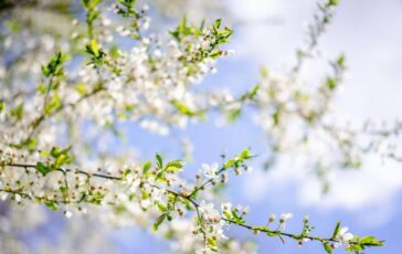 Sole e caldo con picchi estivi ma non dura il meteo dei prossimi giorni 364x230