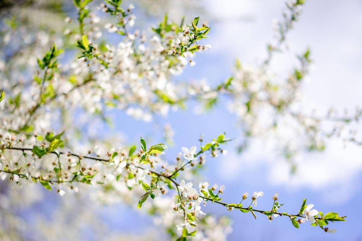 Sole e caldo con picchi estivi, ma non dura: il meteo dei prossimi giorni