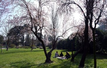 Temperature sopra la media ma potrebbe tornare la pioggia previsioni meteo 364x230