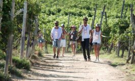 Turismo UniCredit Nomisma Wine Monitor da quello del vino 3 miliardi di valore per cantine 265x160