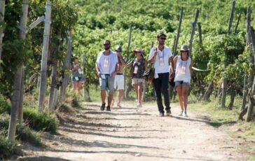 Turismo UniCredit Nomisma Wine Monitor da quello del vino 3 miliardi di valore per cantine 364x230