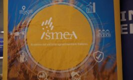 Vinitaly vino italiano leader focus su mercati esteri e nuovo bando OCM Promozione 265x160