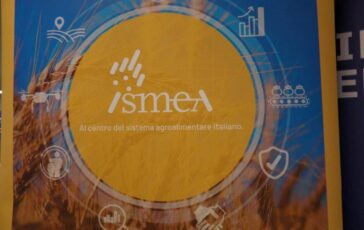 Vinitaly vino italiano leader focus su mercati esteri e nuovo bando OCM Promozione 364x230