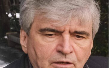 Vino Mazzi Modello Napa Valley in Italia 364x230