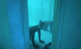 featured 3593679 265x160