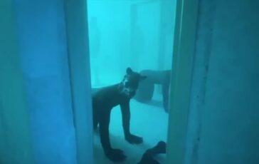 featured 3593679 364x230