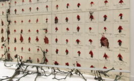 featured 3594041 265x160