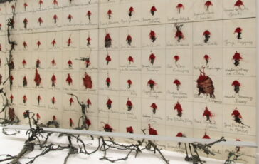 featured 3594041 364x230