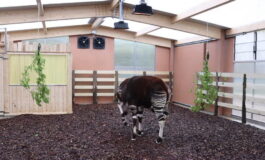 featured 3594139 265x160