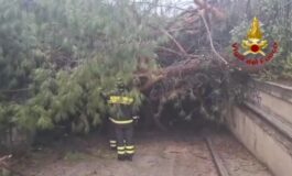 featured 3594361 265x160