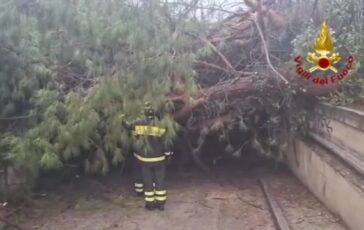 featured 3594361 364x230