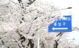 featured 3594753 265x160