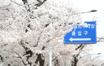 featured 3594753 364x230