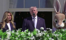 featured 3595363 265x160