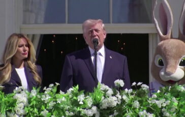 featured 3595363 364x230