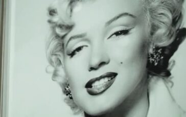 featured 3595459 364x230