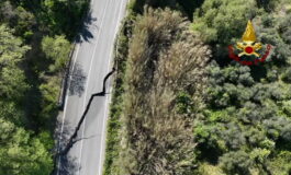 featured 3595685 265x160