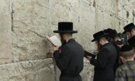 featured 3596136 265x160