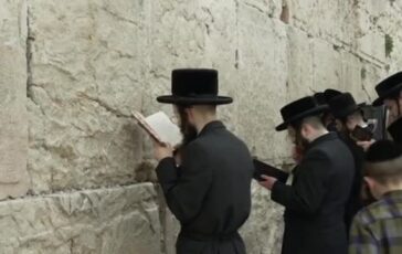 featured 3596136 364x230