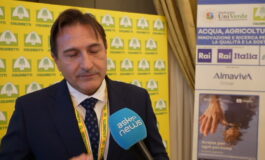 featured 3596318 265x160