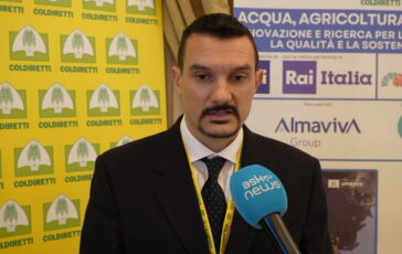 featured 3596320 364x230