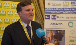 featured 3596390 265x160