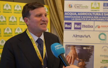 featured 3596390 364x230