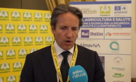 featured 3596392 265x160