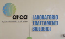 featured 3596689 265x160