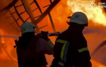 featured 3596886 364x230