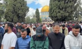 featured 3596888 265x160