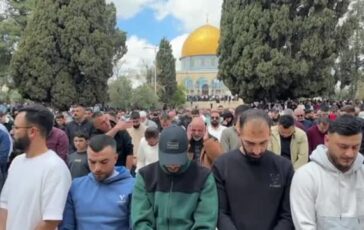 featured 3596888 364x230