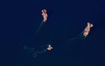 featured 3597028 364x230