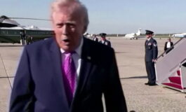 featured 3597052 265x160