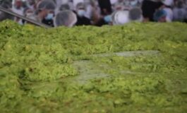 featured 3597132 265x160