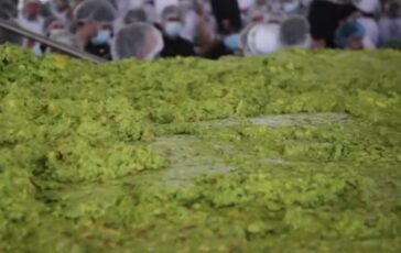 featured 3597132 364x230