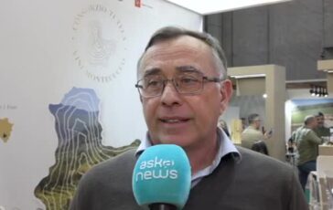 featured 3598271 364x230