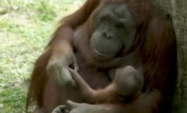 featured 3598668 265x160