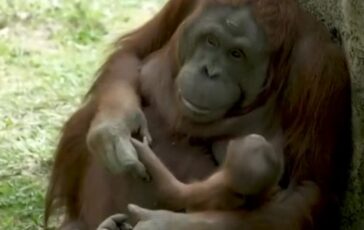 featured 3598668 364x230