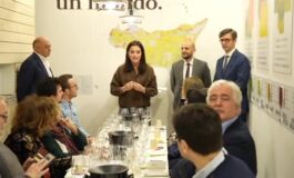 featured 3599518 265x160