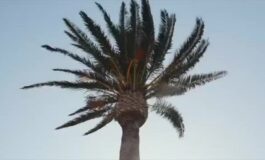 featured 3599967 265x160