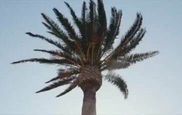 featured 3599967 364x230