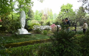 featured 3600681 364x230