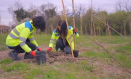 featured 3601992 265x160