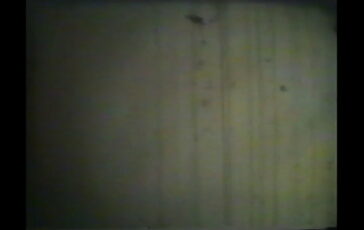 featured 3602126 364x230