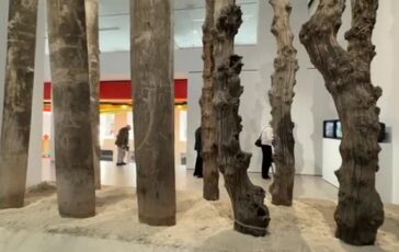 featured 3602487 364x230