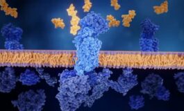 featured 3602638 265x160